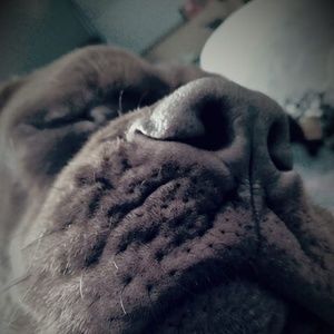 Meet your Posher, Candis